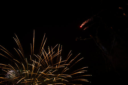 New year red fireworks at night