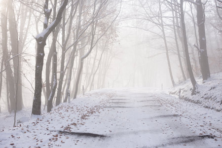 Snowy road in winter passes through a foggy forest