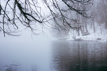 Forest covered with snow and a lake in the fog