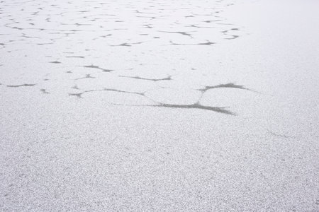 The surface of a lake frozen as a backgroundの写真素材