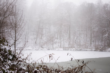 Frozen lake and forest covered with snow shrouded in mistの写真素材