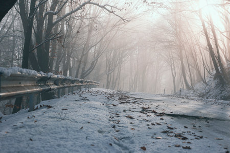 Snowy road in winter passes through a foggy forest