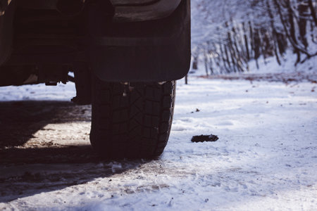 The car stands in the forest in winterの写真素材