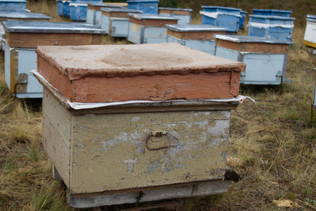 beehive in a row