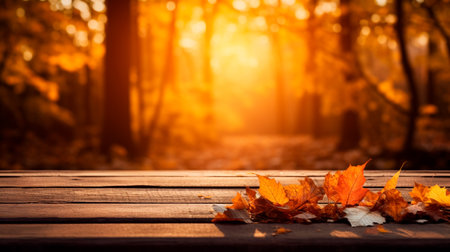 autumn background. wooden bench in the fall park.の素材