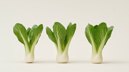 fresh white radish vegetable on grey backgroundの素材