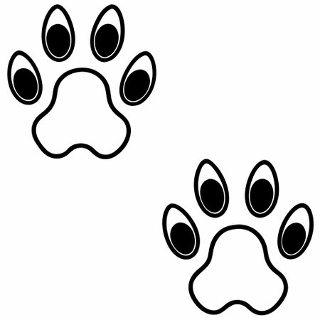 Paw Prints, Vector Illustration, Isolated On White Backgroundのイラスト素材