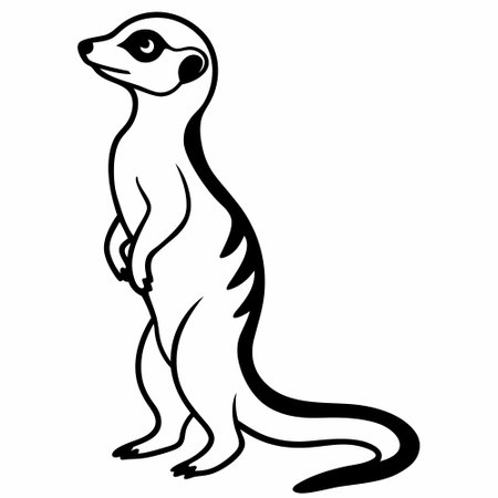 Meerkat - Black and White Cartoon Illustration, Isolated On White Backgroundのイラスト素材