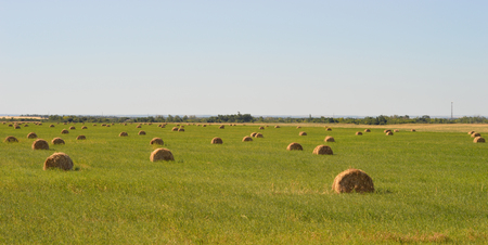 haystacks on the fieldの写真素材