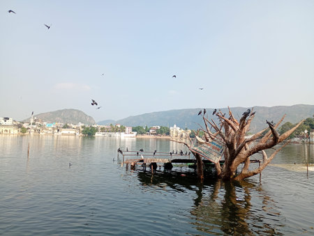 Brahma kund lake Temple in pushkar Rajasthan India