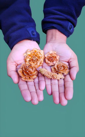 Hands of a child holding dried cedar flowers and cones on a green background.の写真素材