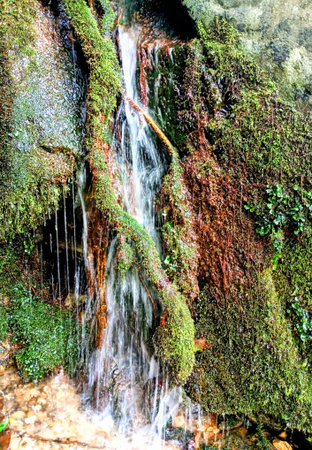 Stunning Waterfall in the Indian Himalayan forest with moss and lichen on the rocks