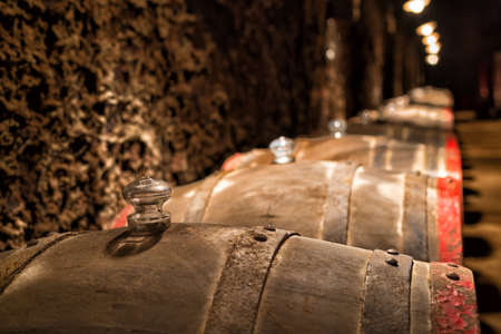Years of dry white wine aging in new oak barrels in the Tokaj cellars. A row of wooden barrels in the wine cellar of Tokaj.の写真素材