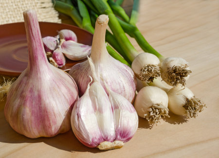 Garlic cloves in a bowl on burlap. Fresh peeled garlic and onions.の写真素材