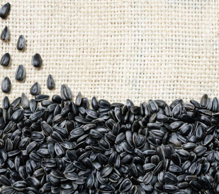 Sunflower kernel in a wooden spoon against the background of seeds and burlap. Raw materials for...