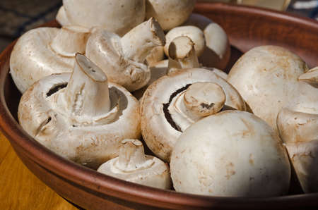 Fresh champignon mushrooms on a ceramic plate, close-up. Genus of agaric fungi of the Champignon family (Agaric)の写真素材