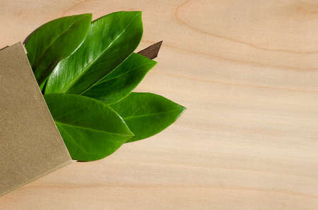 Eco friendly packaging, paper recycling, zero waste, natural products concept. idea for business. Invitation card with green leafの写真素材