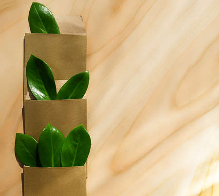 Eco friendly packaging, paper recycling, zero waste, natural products concept. idea for business. Invitation card with green leafの写真素材