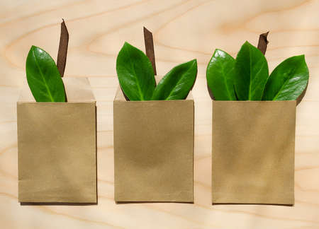 Eco friendly packaging, paper recycling, zero waste, natural products concept. idea for business. Invitation card with green leafの写真素材