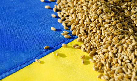 Wheat lies on the Ukrainian flag and cannot be exported. World grain crisis caused by the concept of Russian-Ukrainian warの写真素材