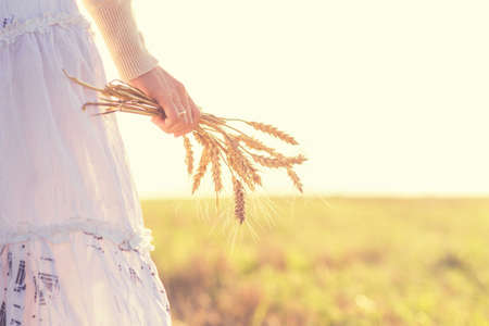 Young girl walking in a field with ears in the handの写真素材