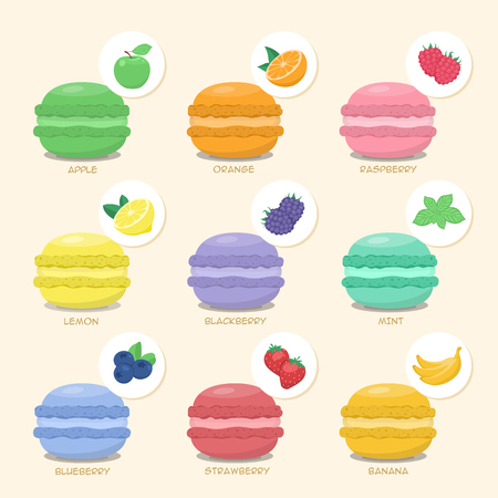 Set of macaroons with different tastes, flavors and fillings. Apple, orange, raspberry, lemon, blackberry, mint blueberry strawberry bananaのイラスト素材