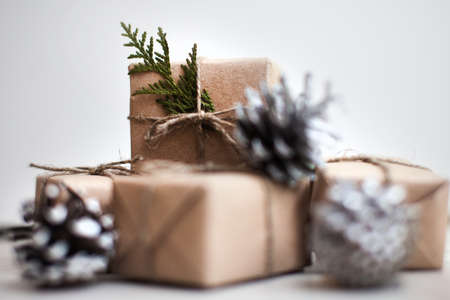 Present box with thuja and cone winter styleの写真素材
