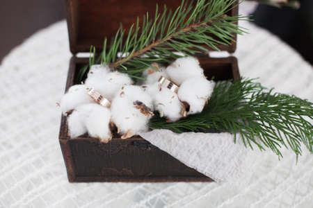 Wedding rings in the box with cotton and branche of spruceの写真素材