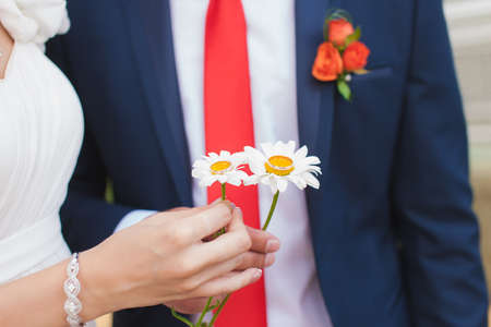 Bride and groom holding the rings on the chamomileの写真素材
