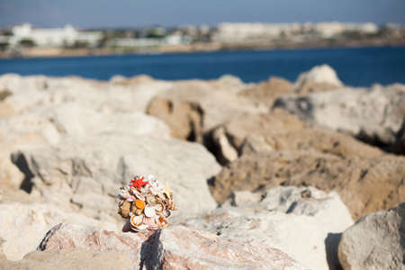 Handmade bouquet of seashells on the rocky seashoreの写真素材