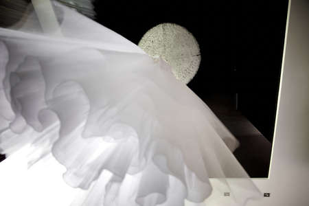 Bride's fantastic white wedding dress from downlowの写真素材