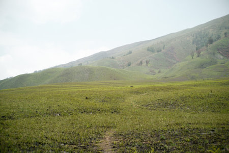 beautiful view of grassy fields on the hill under the blue sky, landscapeの写真素材