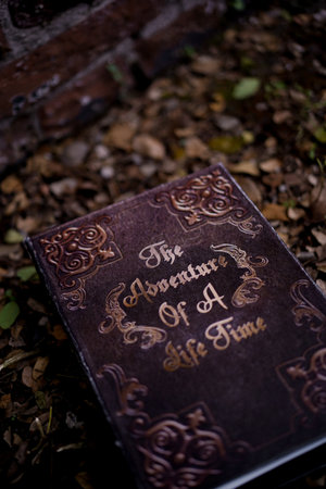 ancient history book lying on dry leavesの写真素材