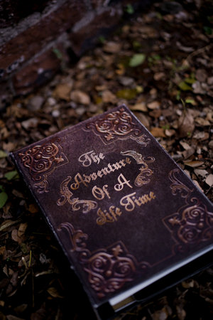 ancient history books lying on dry leaves (3)の写真素材