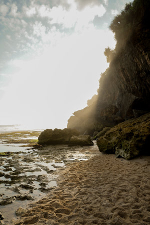 beautiful sunlight on the coral beach (1)の写真素材