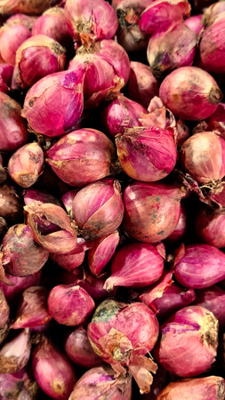 pile of red onions, healthy herbs and spices, food ingredientの写真素材