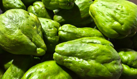 pile of fresh green chayote, healthy vegetablesの写真素材