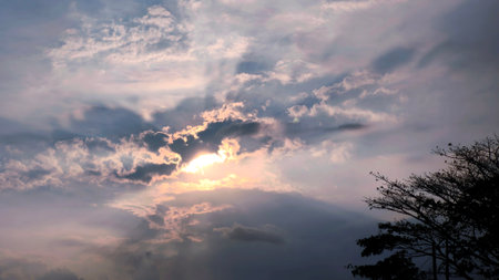 beautiful sunset view in a cloudy sky in the evening with trees below, panoramaの写真素材