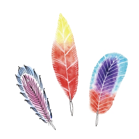 Set of three watercolors feathers. Vector illustrationのイラスト素材