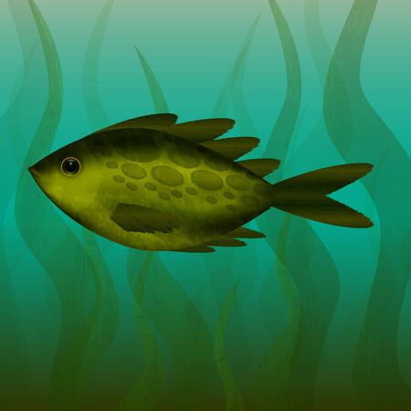 River fish - Under the water - Underwater plants - Turbid water - Vector illustration.