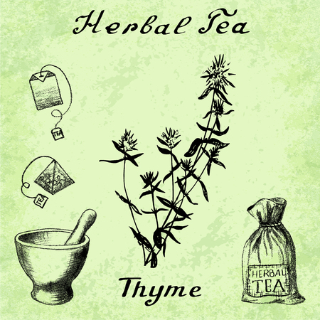 Herbal tea, thyme, mortar and pestle, bag, tea bag. illustration. Botanical drawing. Pencil drawingのイラスト素材