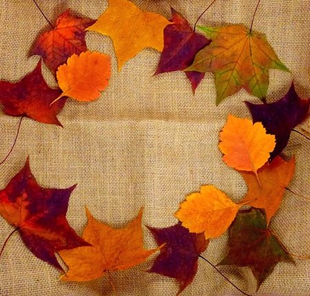 Autumn leaves on a cloth burlap. Round frame. Space for textの写真素材