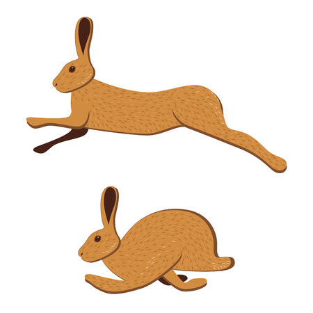 Hare runs, jumps. 2 poses. Vector illustration isolated on white background. Brown rabbit, bunny.のイラスト素材