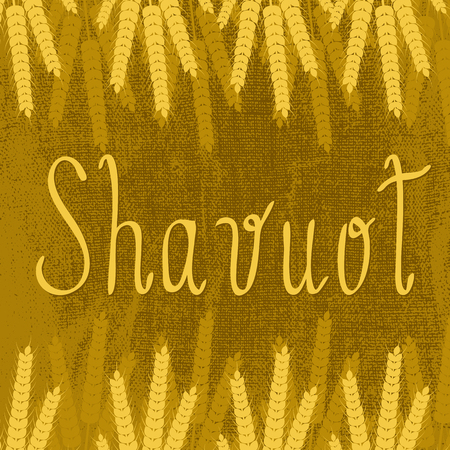 Shavuot Concept of Judaic holiday. Brown background, burlap texture, ears of wheat, text name of the holiday Vector illustration.のイラスト素材