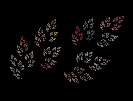 Bright fractal abstraction. Abstraction is similar to leaves of a plant. Black backgroundの写真素材