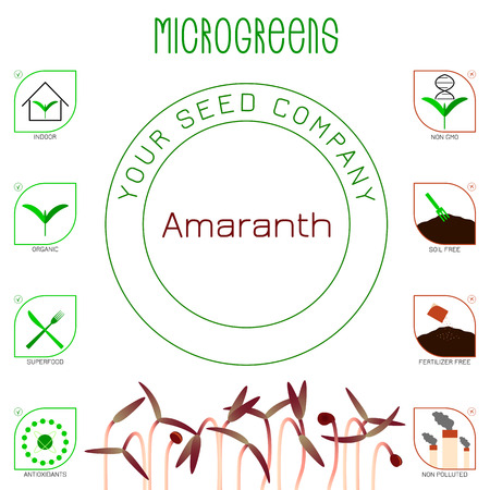 Microgreens Red Amaranth. Seed packaging design. Icons - indoor, organic, superfood, antioxidants, non gmo, soil free, fertilizer free, non pollutedのイラスト素材