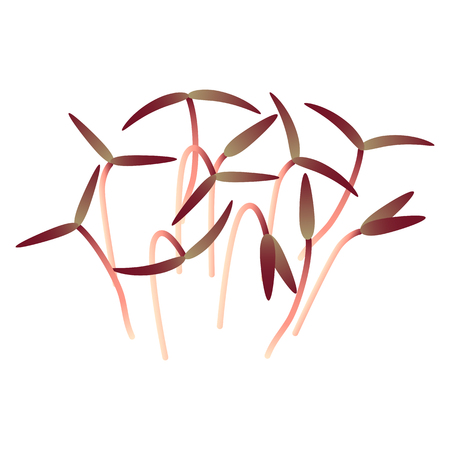 Microgreens Red Amaranth. Bunch of plants. Vitamin supplement, vegan foodのイラスト素材