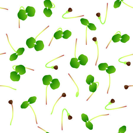 Microgreens Buckwheat. Sprouting seeds of a plant. Seamless pattern. Isolated on white. Vitamin supplement, vegan foodのイラスト素材