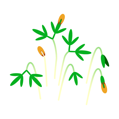 Microgreens Cress. Bunch of plants. Vitamin supplement, vegan foodのイラスト素材