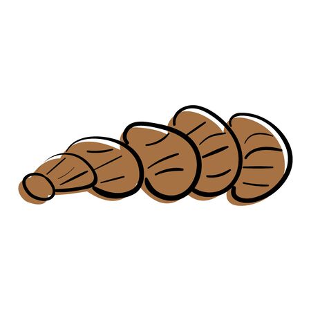 Sea shell. Vector doodle illustration. Isolated on white.のイラスト素材